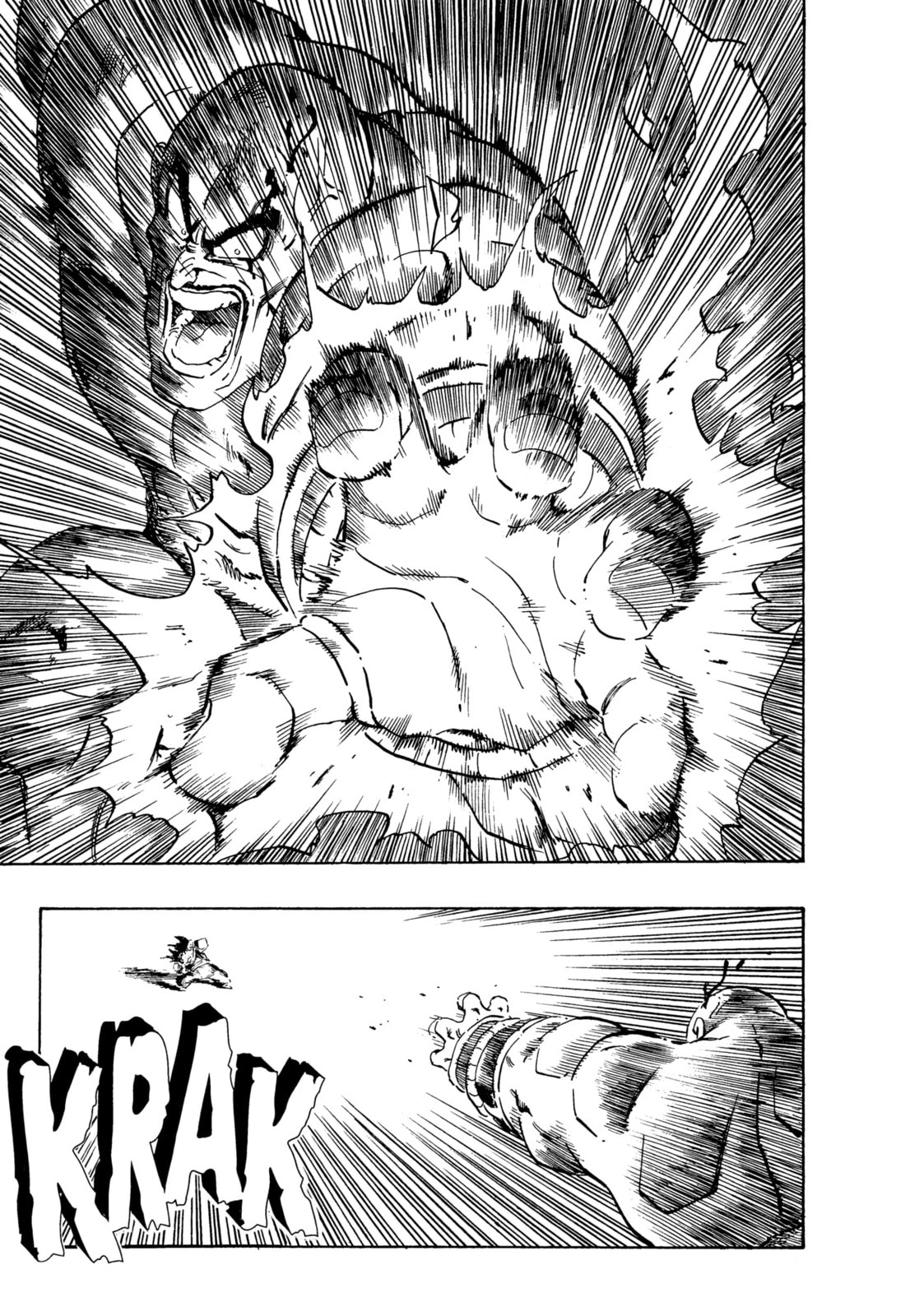 Dragon Ball Super Chapter 222 page 12 - 