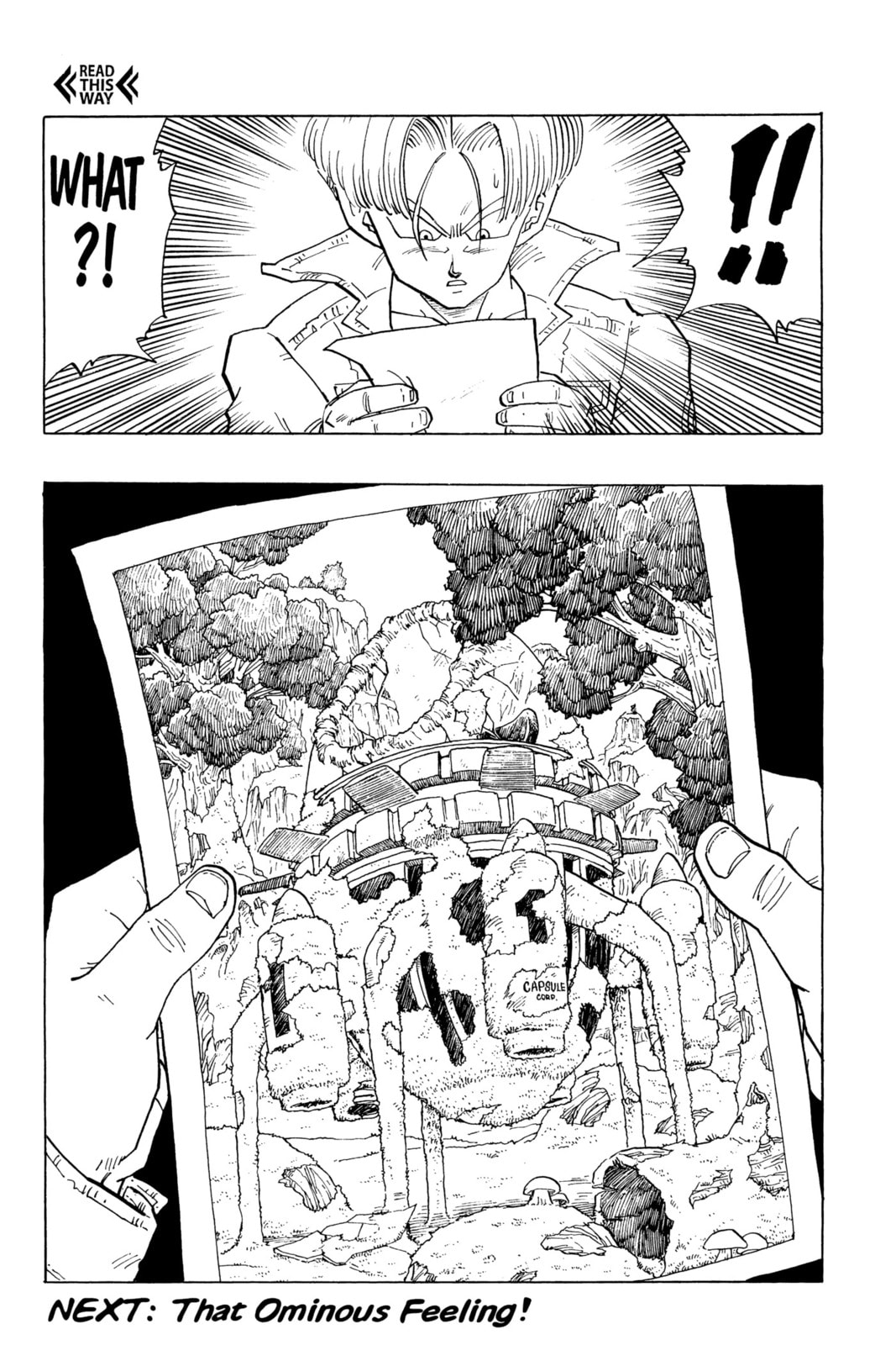 Read Dragon Ball Super chapter 357 image 13 on Lezhin