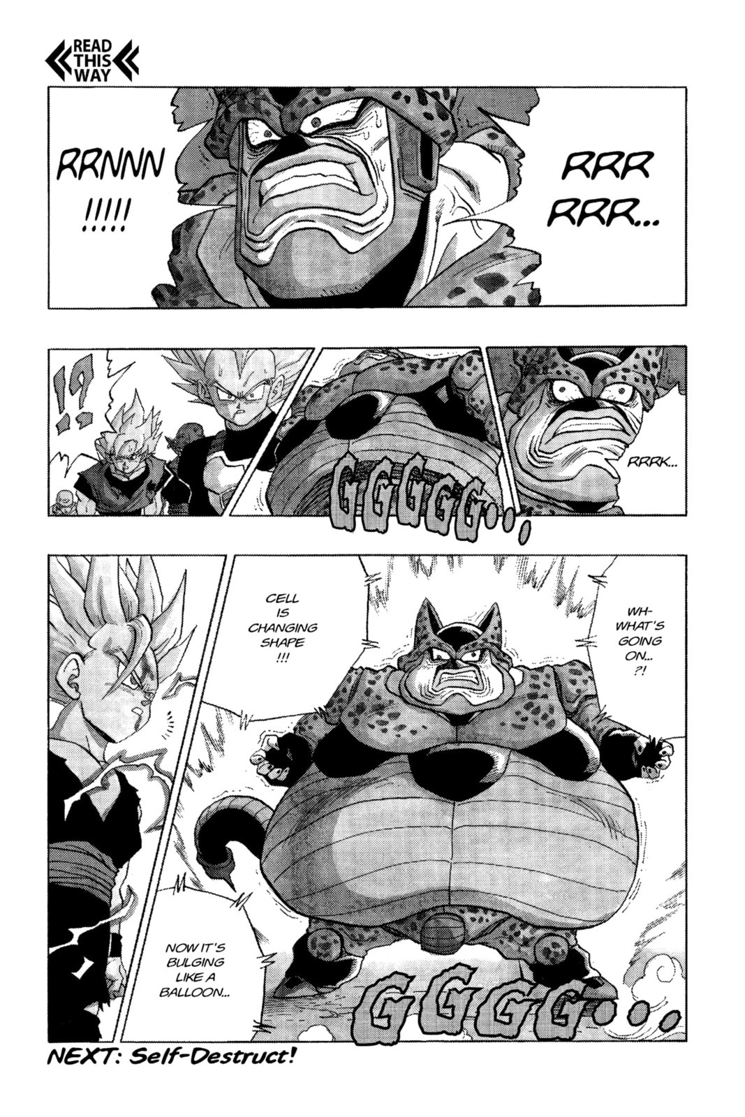 Read Dragon Ball Super chapter 411 image 13 on Lezhin