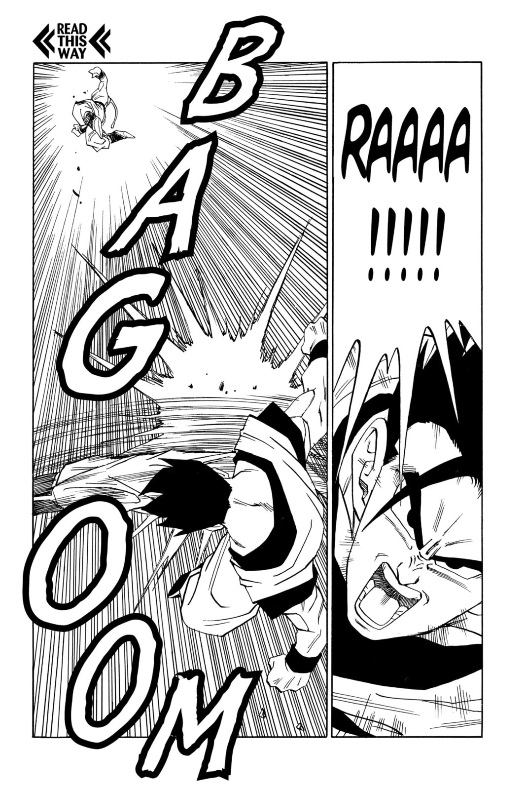 Read Dragon Ball Super chapter 497 image 9 on Lezhin