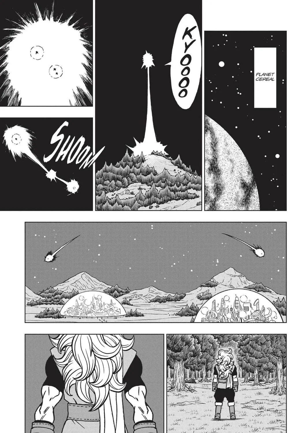 Dragon Ball Super Chapter 70 page 17 - 