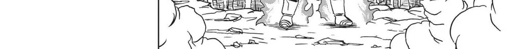 Dragon Ball Super Chapter 74 page 16 - 