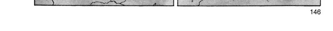 Read Dragon Ball Z chapter 129 image 9 on Lezhin