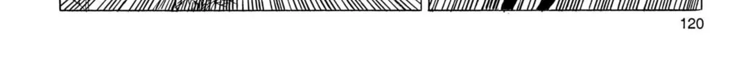 Read Dragon Ball Z chapter 139 image 21 on Lezhin