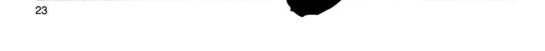 Read Dragon Ball Z chapter 169 image 3 on Lezhin