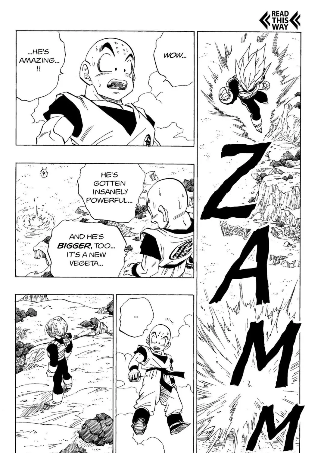 Read Dragon Ball Z chapter 185 image 12 on Lezhin