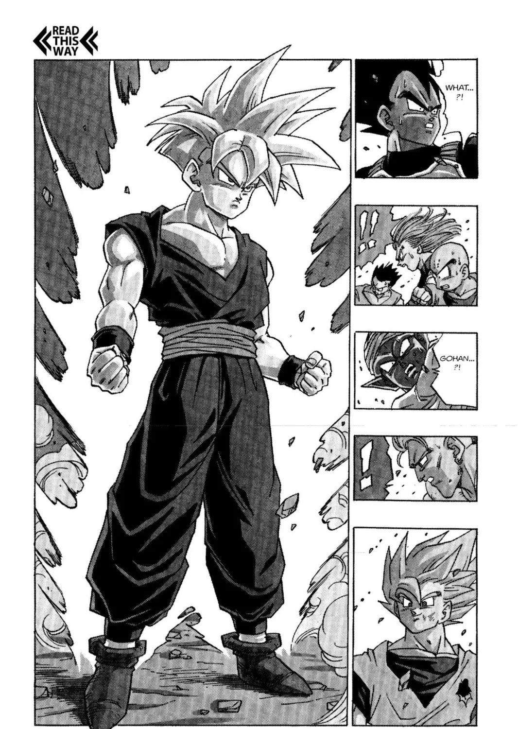 Read Dragon Ball Z chapter 210 image 2 on Lezhin