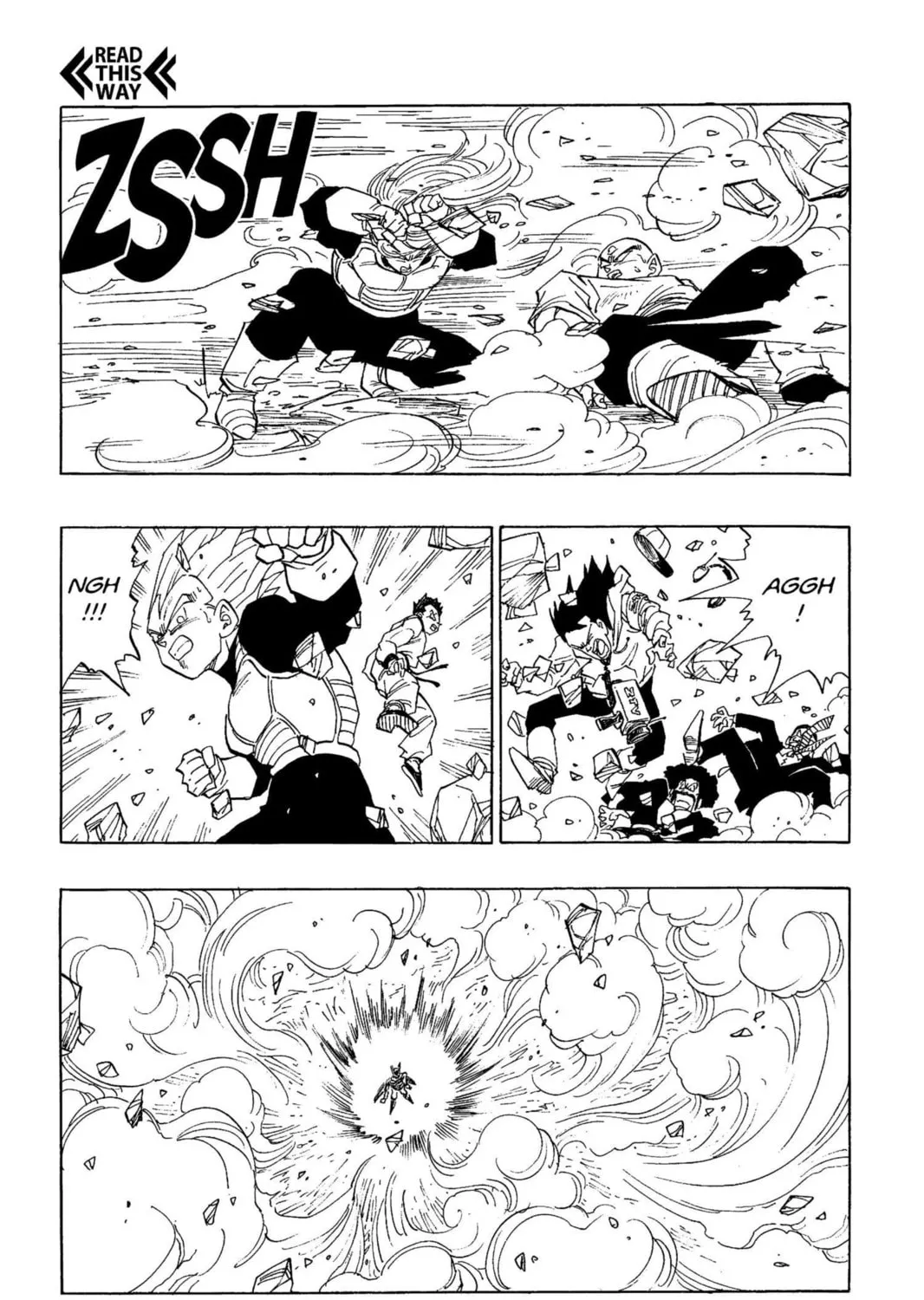 Read Dragon Ball Z chapter 215 image 12 on Lezhin