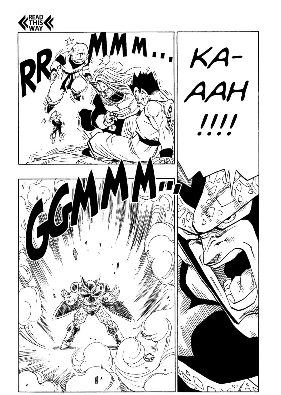 Read Dragon Ball Z chapter 215 image 8 on Lezhin