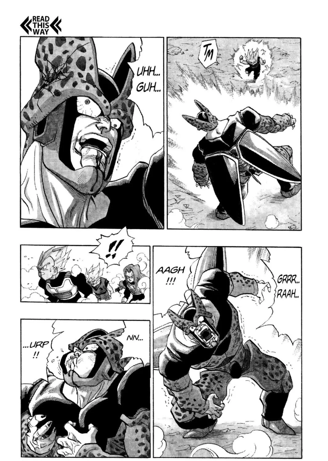 Read Dragon Ball Z chapter 217 image 18 on Lezhin