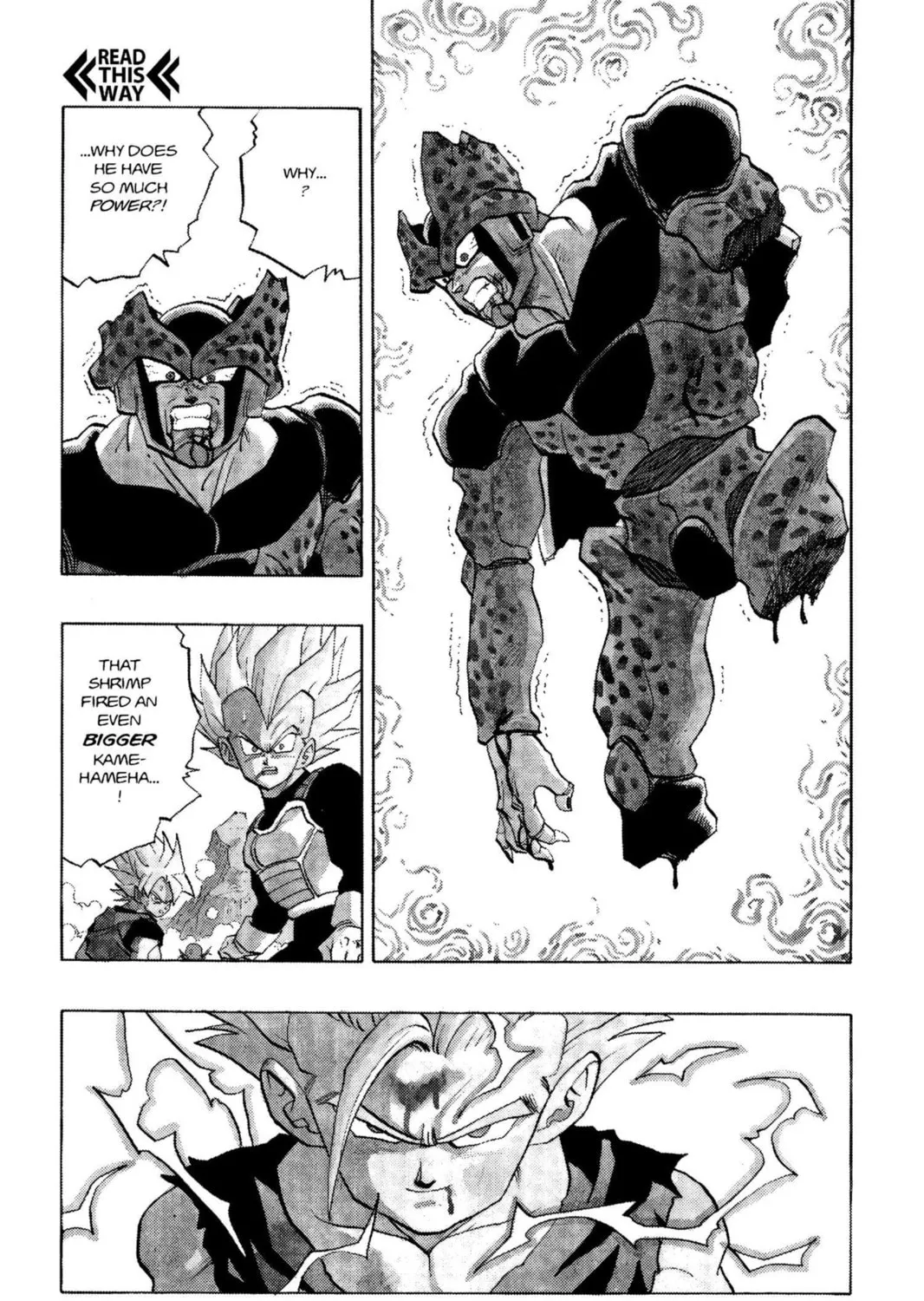 Read Dragon Ball Z chapter 217 image 2 on Lezhin