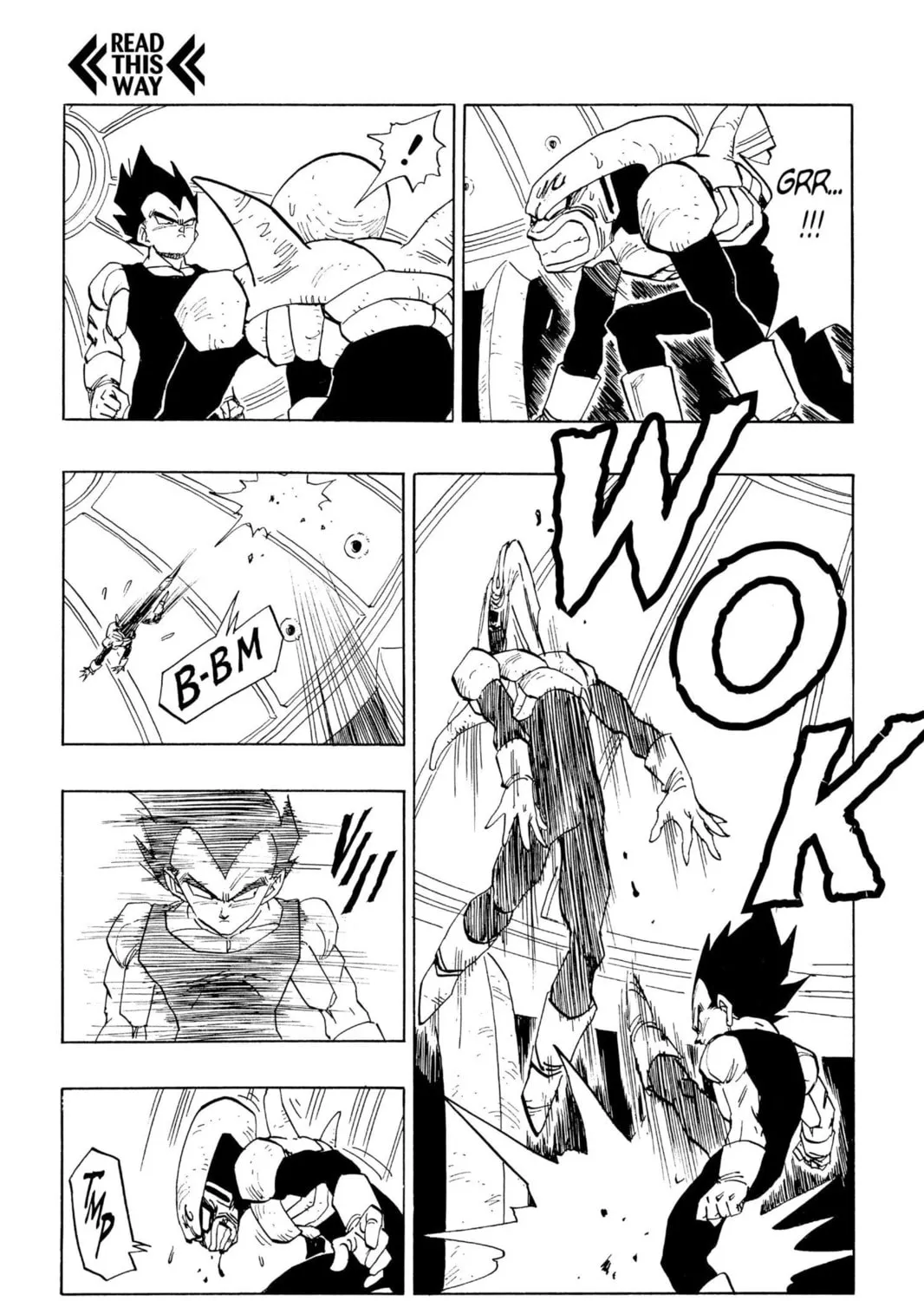 Read Dragon Ball Z chapter 255 image 14 on Lezhin
