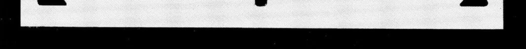 Read Dragon Ball Z chapter 256 image 3 on Lezhin