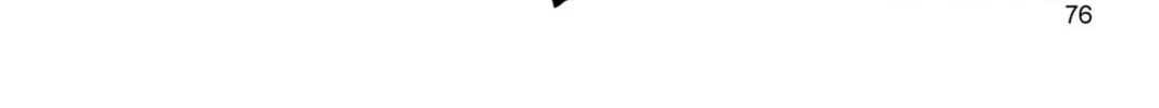Read Dragon Ball Z chapter 297 image 3 on Lezhin