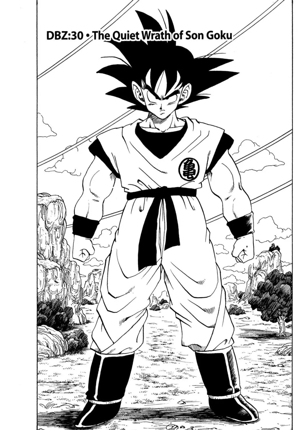 Read Dragon Ball Z chapter 30 image 0 on Lezhin