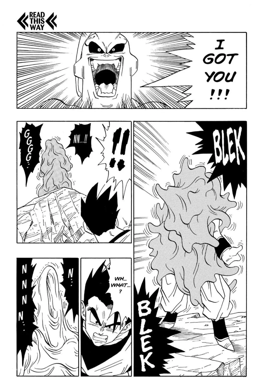 Read Dragon Ball Z chapter 305 image 16 on Lezhin