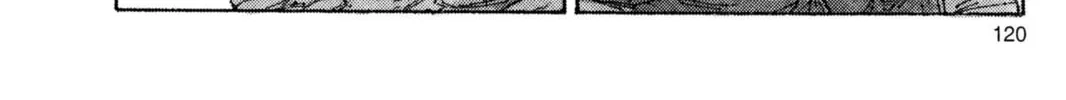 Read Dragon Ball Z chapter 43 image 1 on Lezhin