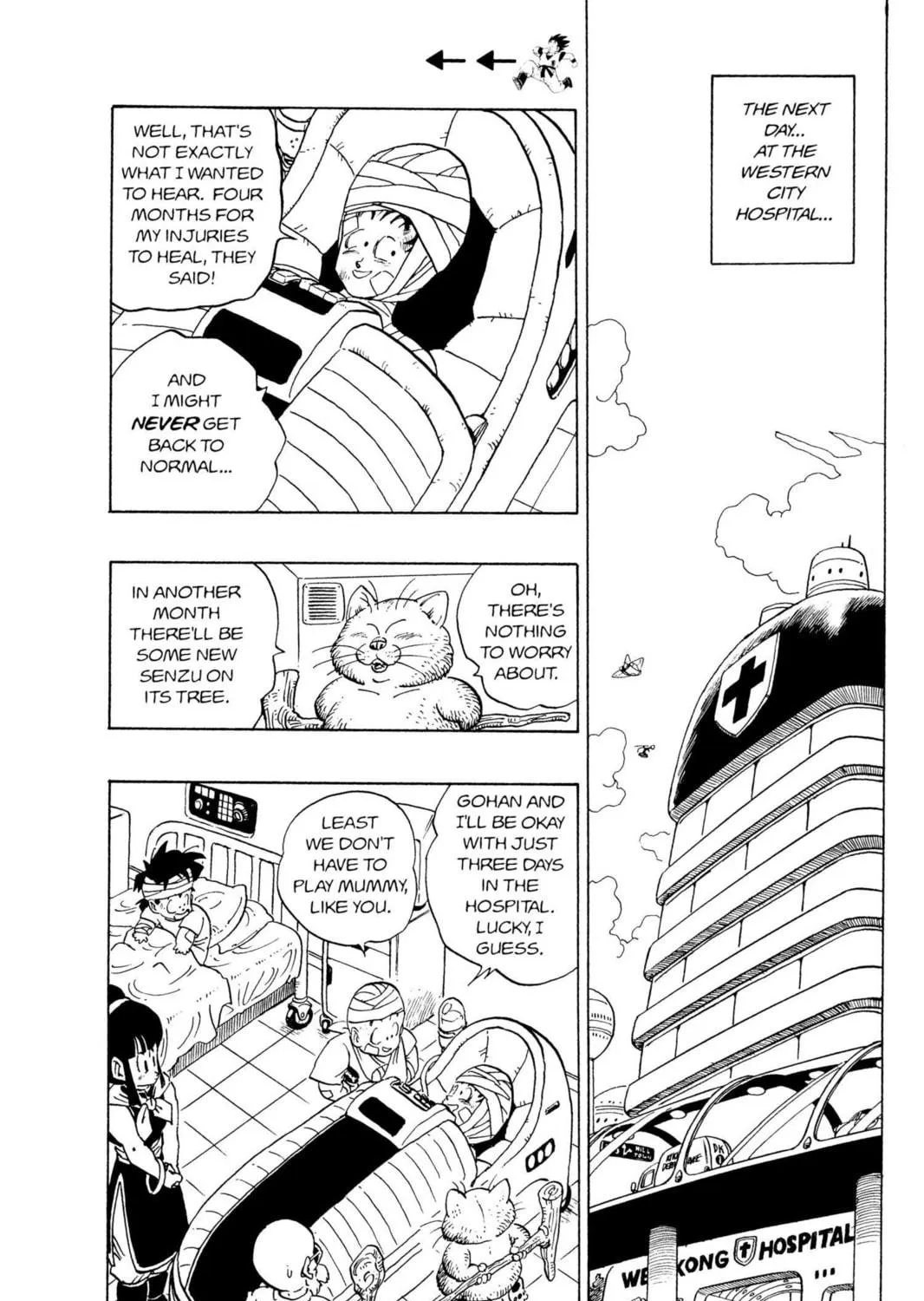 Read Dragon Ball Z chapter 49 image 16 on Lezhin