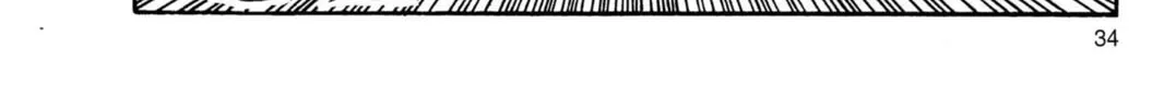Read Dragon Ball Z chapter 72 image 25 on Lezhin