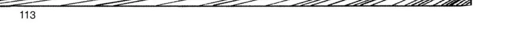 Read Dragon Ball Z chapter 78 image 13 on Lezhin