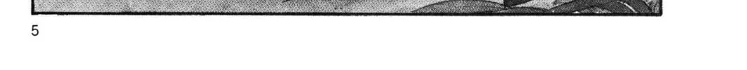 Read Dragon Ball chapter 1 image 1 on Lezhin