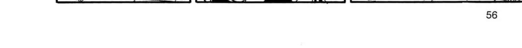 Read Dragon Ball chapter 100 image 13 on Lezhin