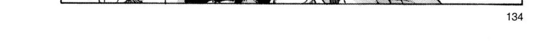 Read Dragon Ball chapter 106 image 1 on Lezhin