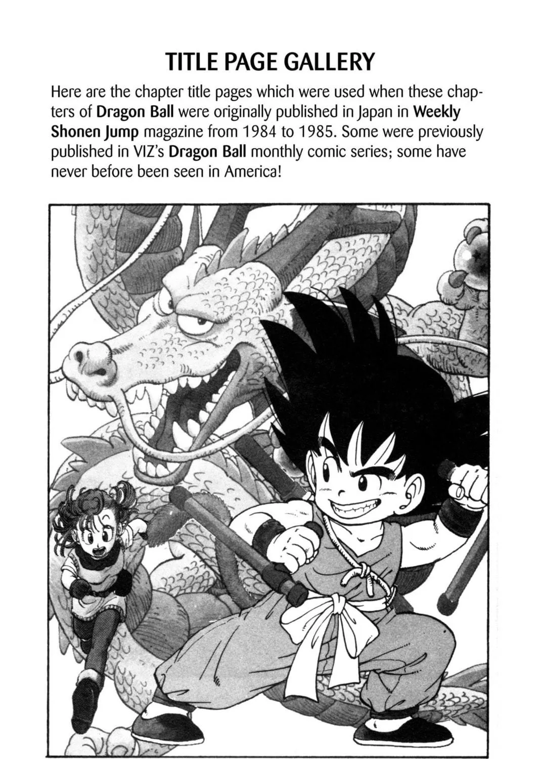 Read Dragon Ball chapter 11 image 28 on Lezhin