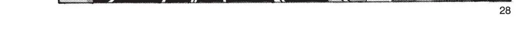 Read Dragon Ball chapter 110 image 13 on Lezhin