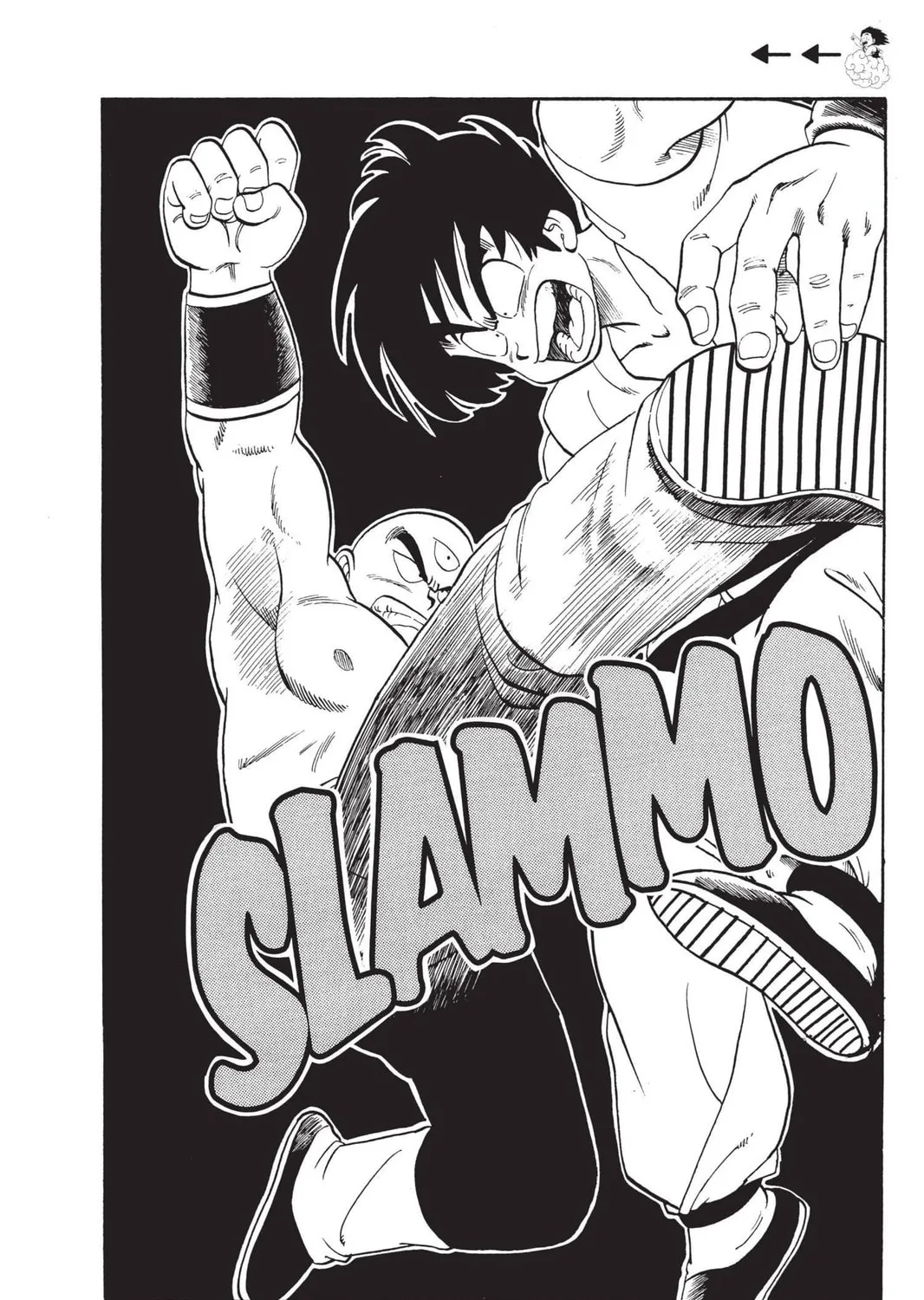 Read Dragon Ball chapter 118 image 12 on Lezhin