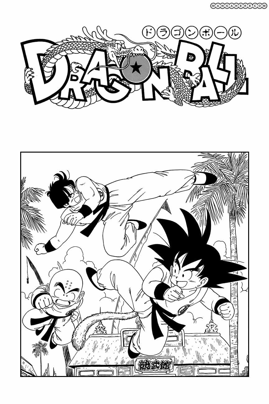 Read Dragon Ball chapter 119.5 image 5 on Lezhin