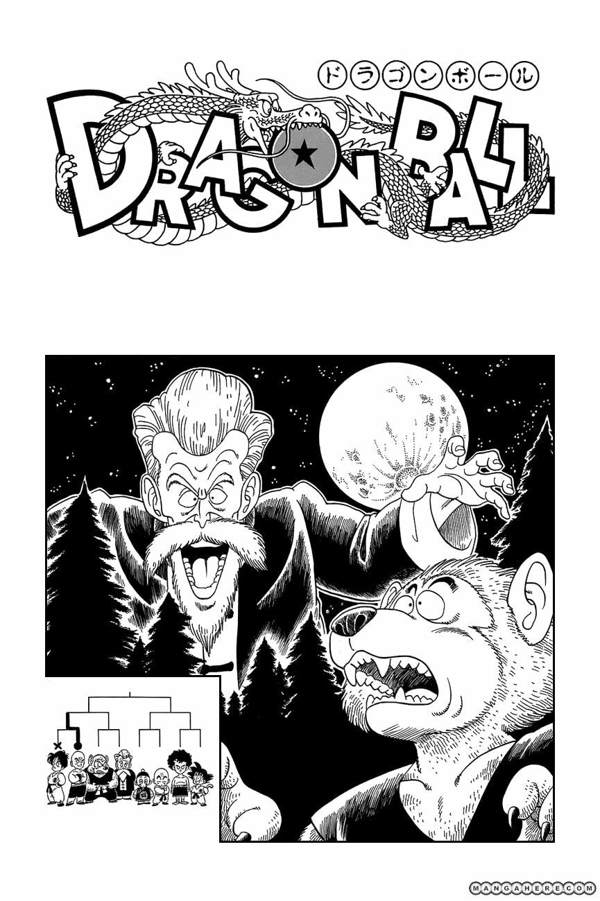 Read Dragon Ball chapter 119.5 image 9 on Lezhin