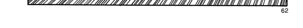 Read Dragon Ball chapter 160 image 25 on Lezhin