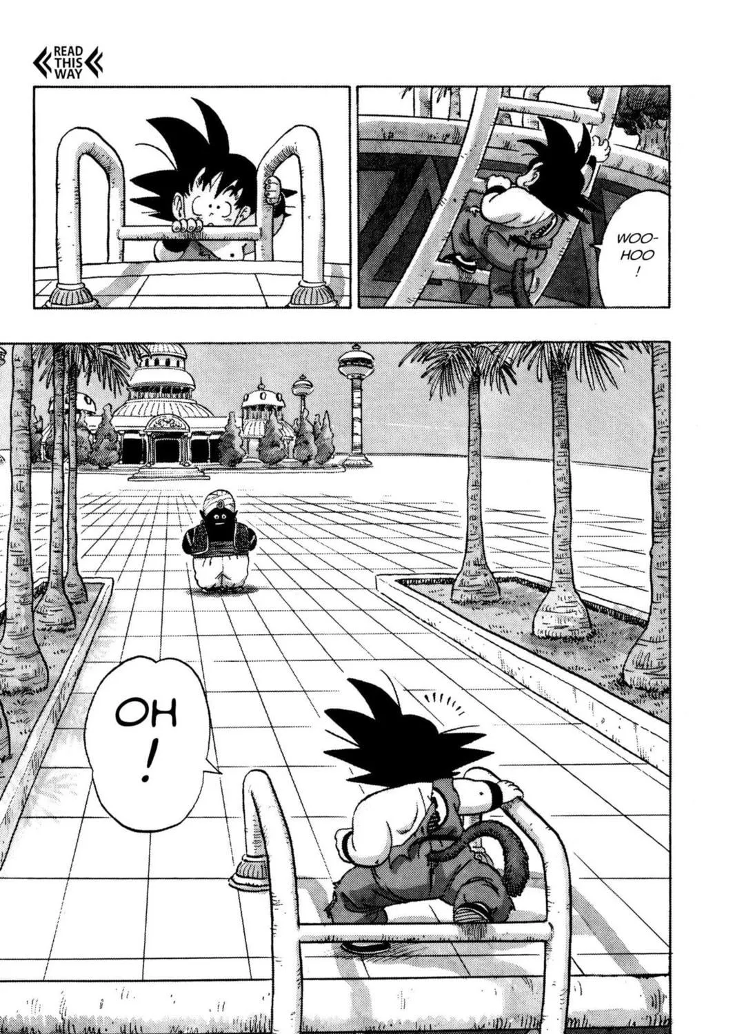 Read Dragon Ball chapter 163 image 10 on Lezhin