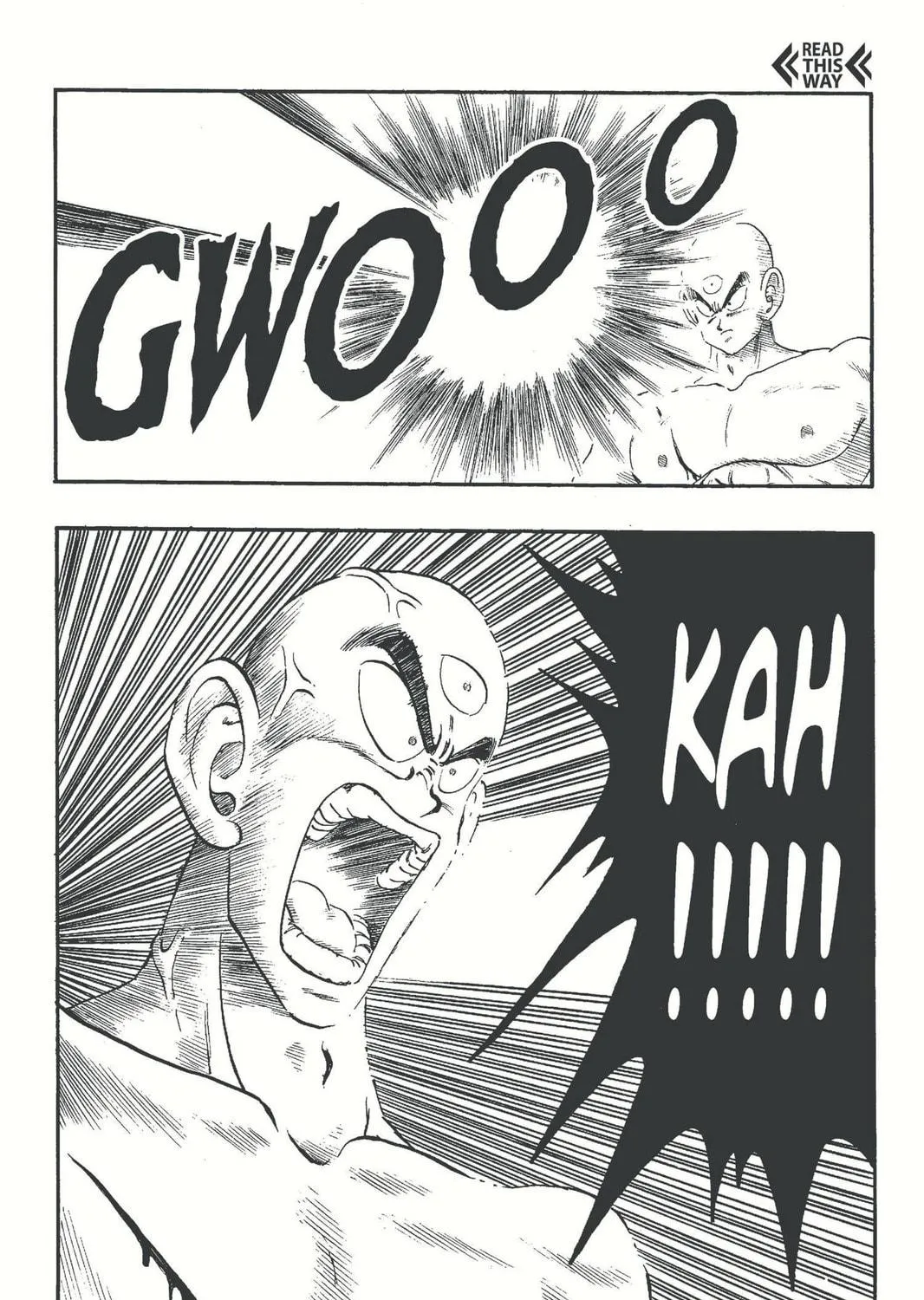 Read Dragon Ball chapter 170 image 16 on Lezhin