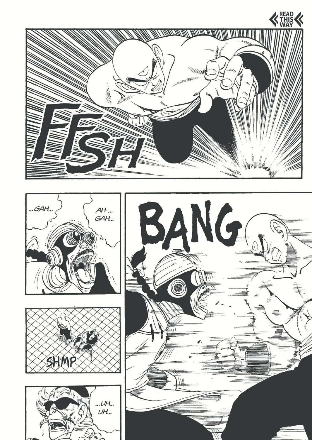 Read Dragon Ball chapter 170 image 20 on Lezhin