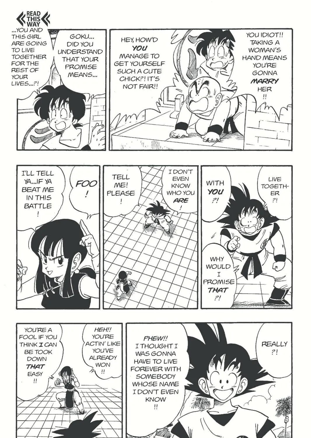 Read Dragon Ball chapter 171 image 10 on Lezhin