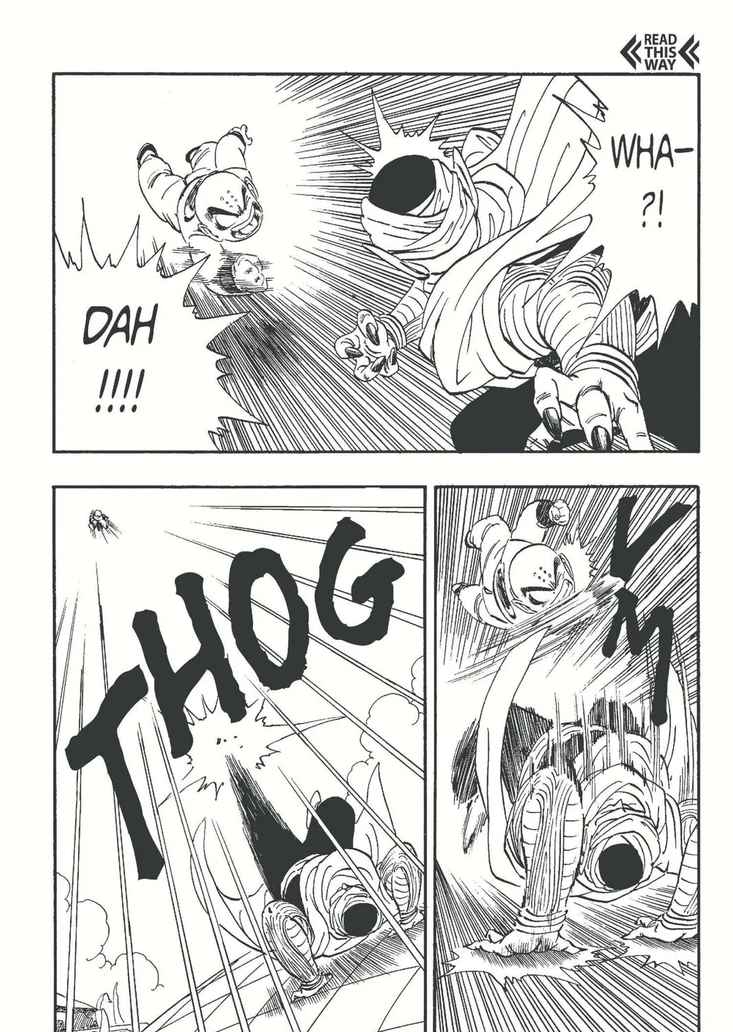 Read Dragon Ball chapter 173 image 12 on Lezhin