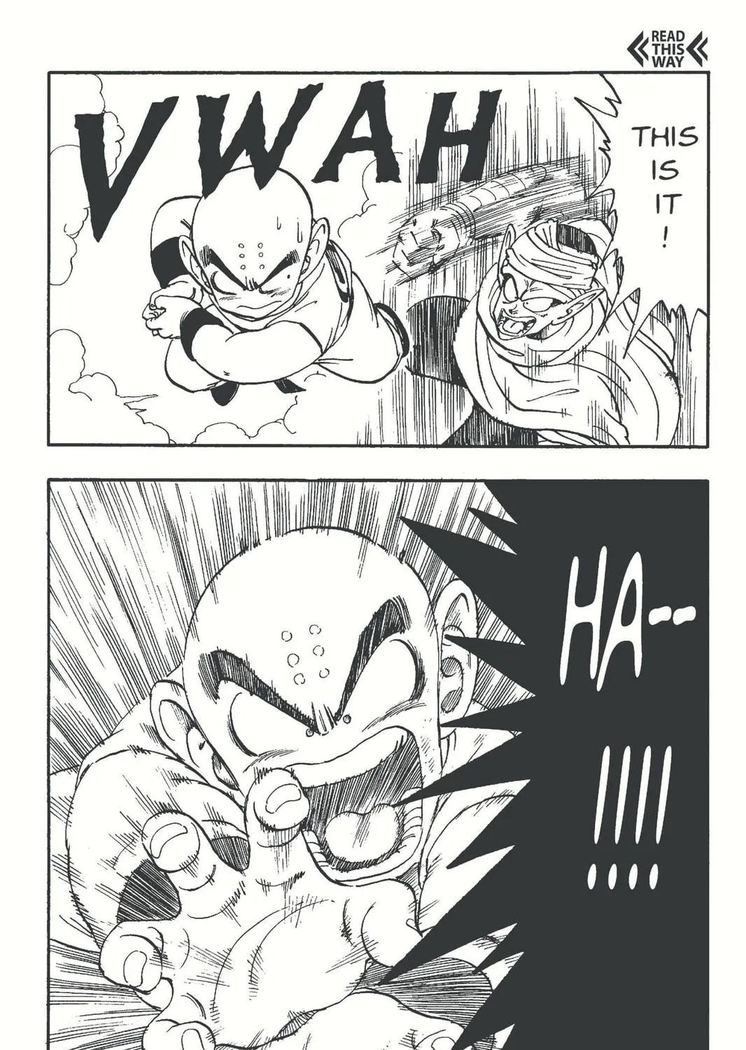 Read Dragon Ball chapter 173 image 16 on Lezhin