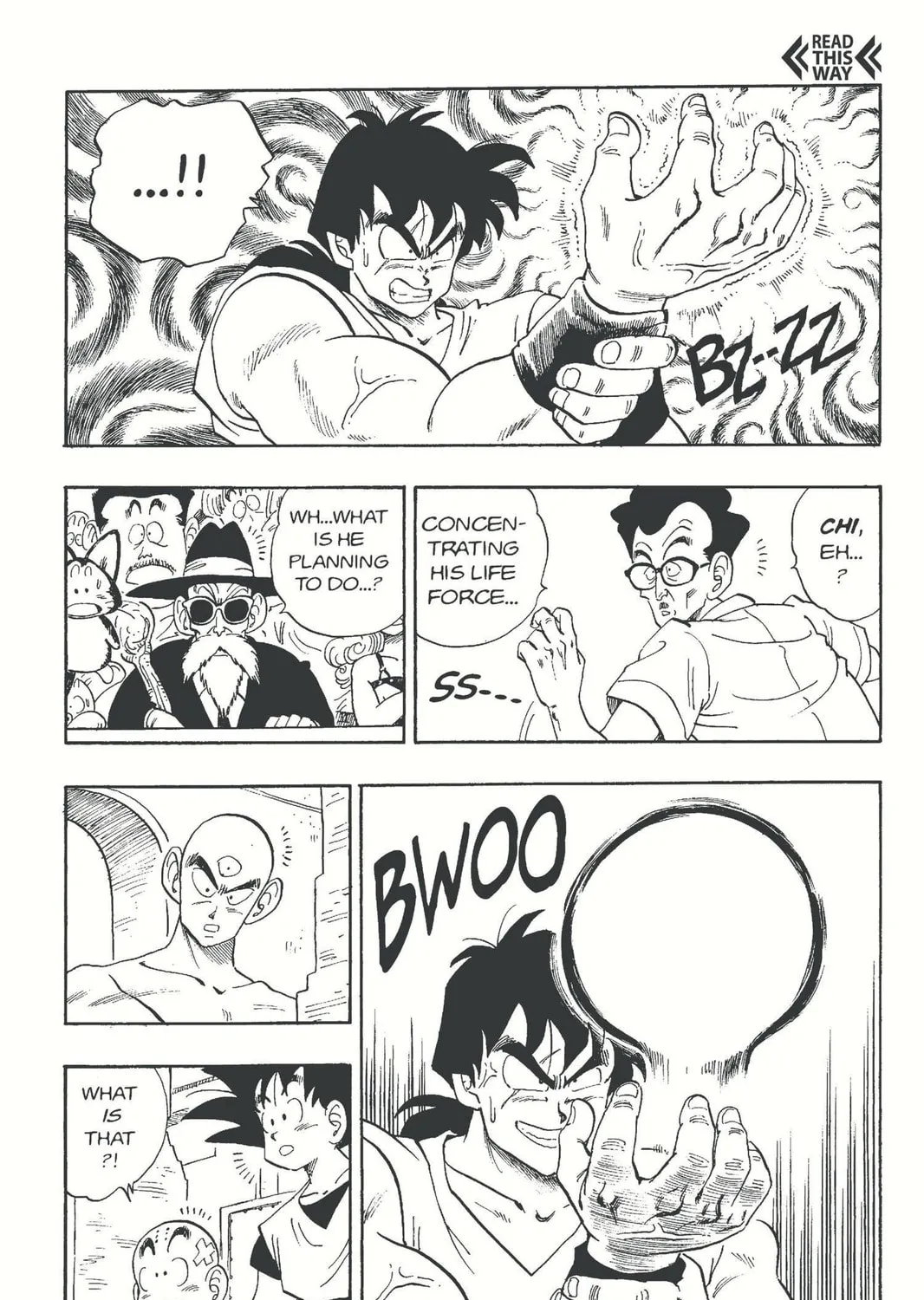 Read Dragon Ball chapter 175 image 12 on Lezhin