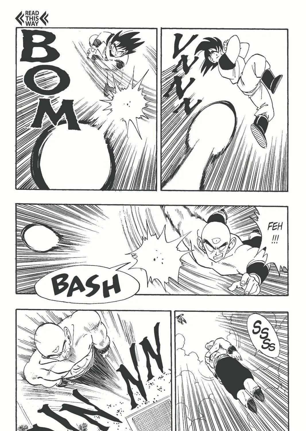 Read Dragon Ball chapter 176 image 10 on Lezhin