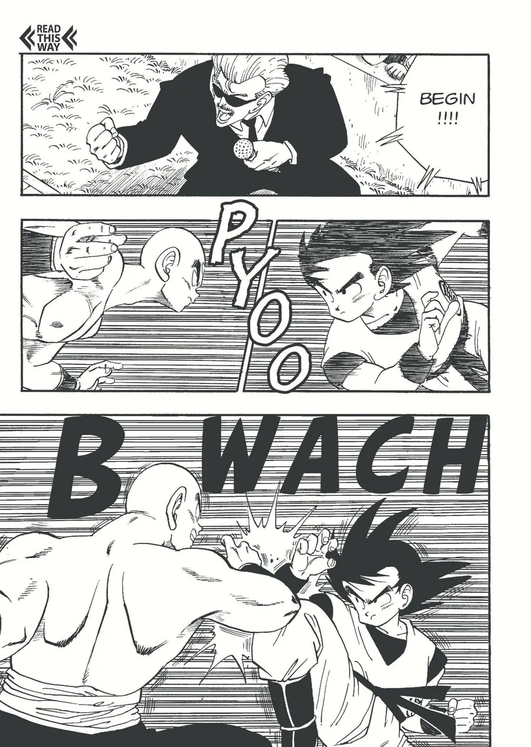 Read Dragon Ball chapter 176 image 6 on Lezhin