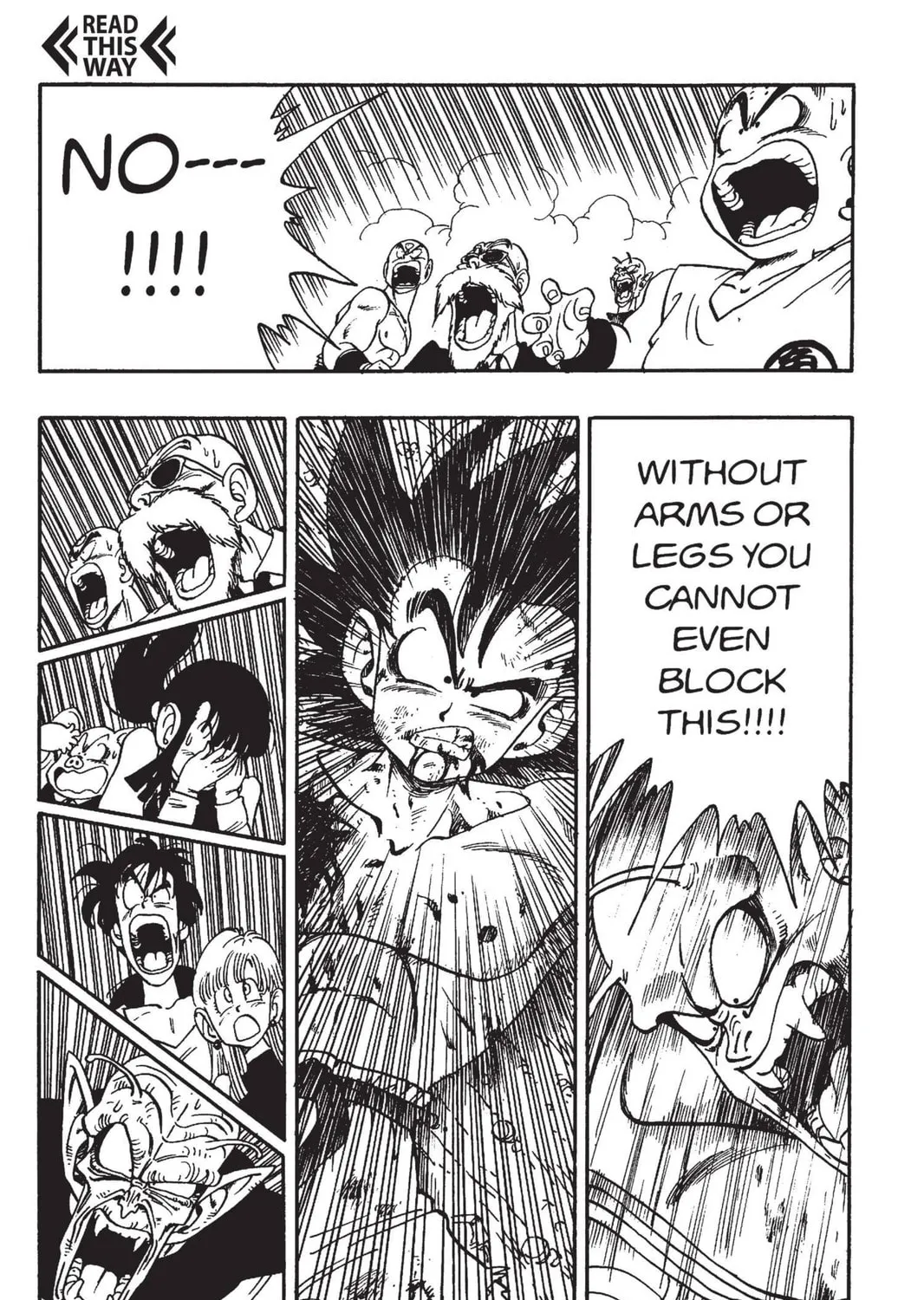 Read Dragon Ball chapter 193 image 2 on Lezhin