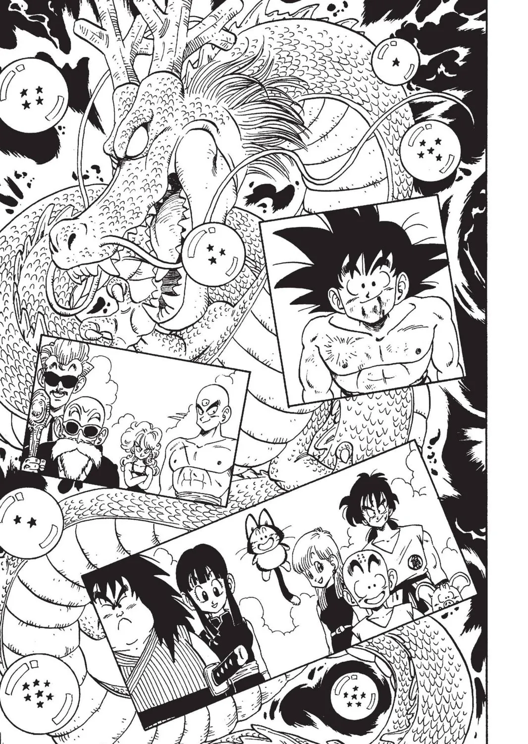 Read Dragon Ball chapter 194 image 14 on Lezhin