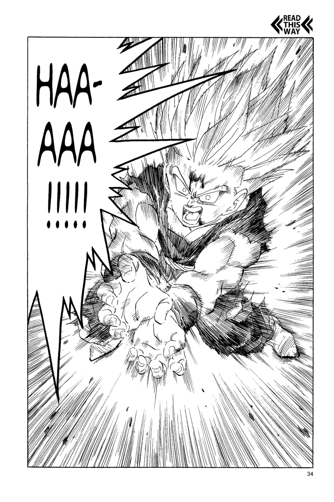 Read Dragon Ball chapter 216 image 11 on Lezhin