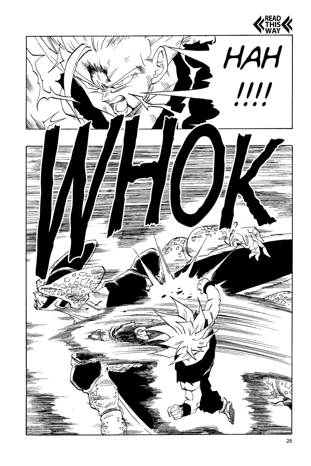 Read Dragon Ball chapter 216 image 3 on Lezhin