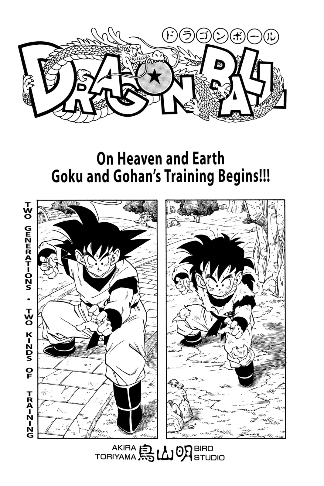 Read Dragon Ball chapter 22.1 image 11 on Lezhin
