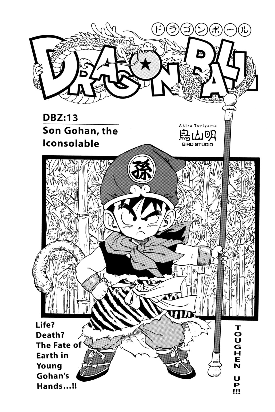 Read Dragon Ball chapter 22.1 image 8 on Lezhin