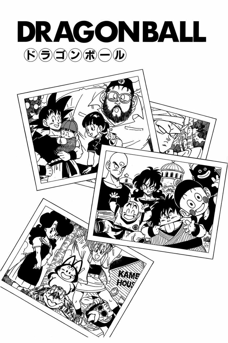 Read Dragon Ball chapter 224.5 image 10 on Lezhin