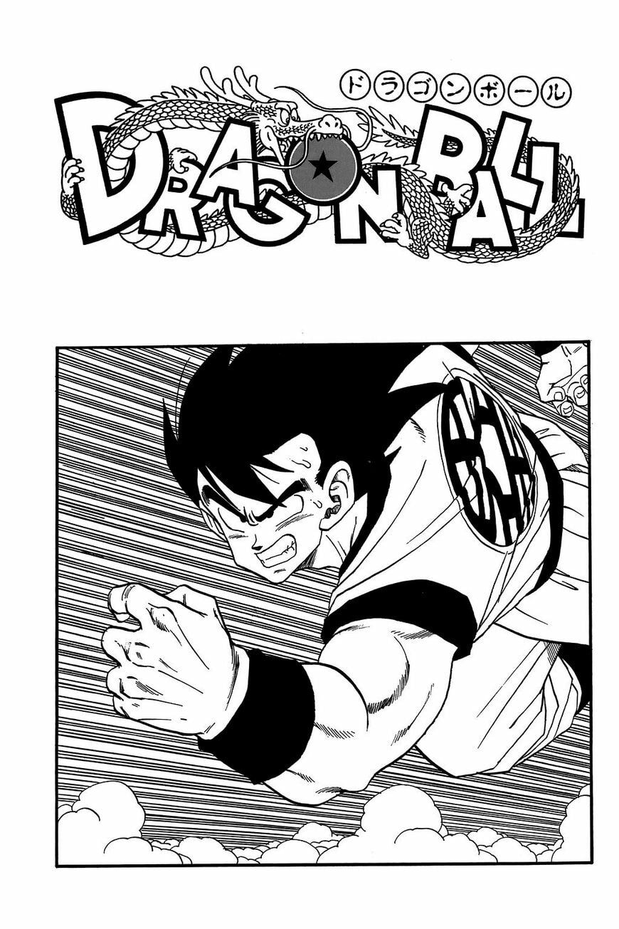Read Dragon Ball chapter 224.5 image 11 on Lezhin